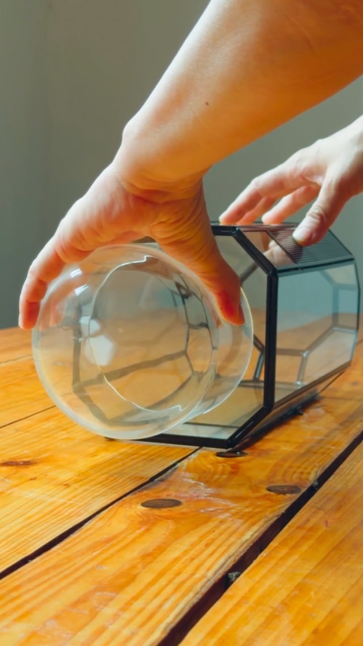 Hands slide a clear glass bowl into a tall black-framed geometric glass terrarium lying on its side on a wooden table; no on-screen text